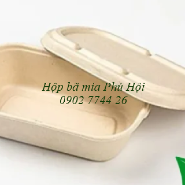 Hộp bã mía 1 ngăn nắp bã mía 700ml tại Quận 6 TP HCM